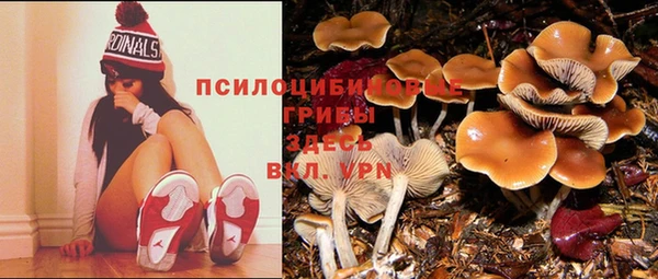 MDMA Premium VHQ Магас