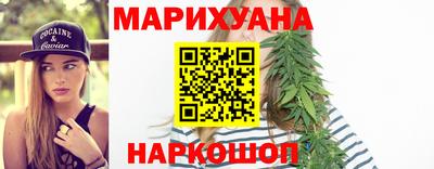 МДПВ Кингисепп
