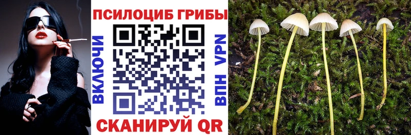 Галлюциногенные грибы прущие грибы  даркнет сайт  Мариинск 