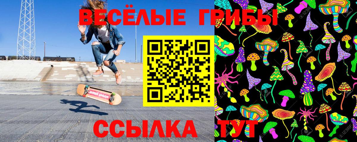 Псилоцибиновые грибы Psilocybine cubensis Мариинск
