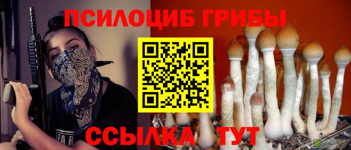 Галлюциногенные грибы Psilocybine cubensis  Мариинск 